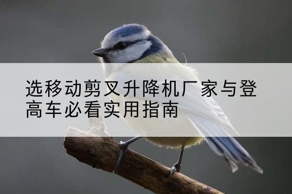 太湖电动升降机厂家-选移动剪叉升降机厂家与登高车必看实用指南