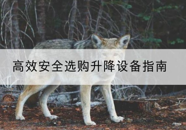 太湖升降货梯厂家推荐-*安全选购升降设备指南